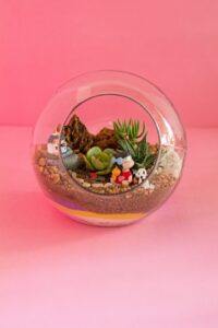 more ideas for indoor fairy garden fun start