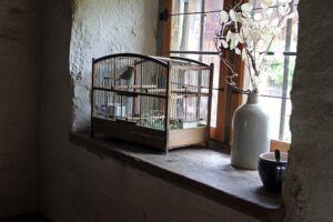 more ideas for indoor fairy garden fun window sill