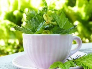 more ideas for indoor fairy garden fun tea cup More Ideas for Indoor Fairy Garden Fun ❀ Fairy Circle Garden