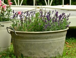 more ideas for indoor fairy garden fun galvanized steel planter