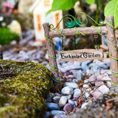 More Ideas for Indoor Fairy Garden Fun Featured
