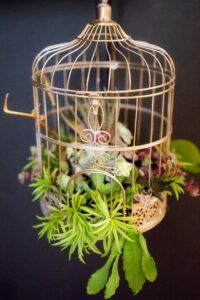 more ideas for indoor fairy garden fun birdcage More Ideas for Indoor Fairy Garden Fun ❀ Fairy Circle Garden