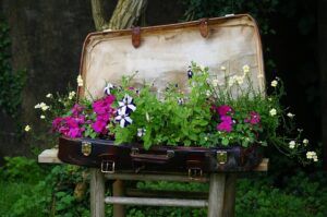 more ideas for indoor fairy garden fun old suitcase More Ideas for Indoor Fairy Garden Fun ❀ Fairy Circle Garden