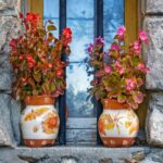 Two ornately potted begonia plants windowsill