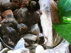 Fairy Garden Water Feature Close Up