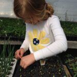 A Fairy Garden with Plants Child Learning