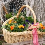 A Fairy Garden with Plants Container Basket