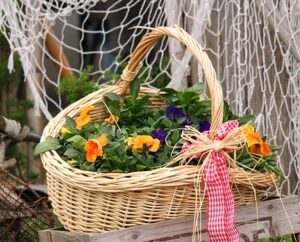 A Fairy Garden with Plants Container Basket
