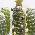 Decorate Pine Cone