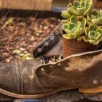 A Fairy Garden with Plants Boot Container