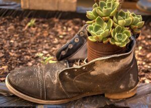 A Fairy Garden with Plants Boot Container