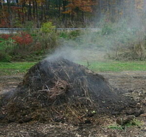 hot compost