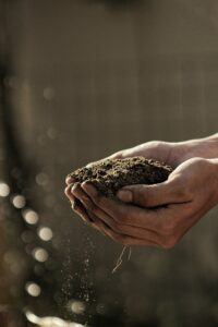 2 hands holding soil side view