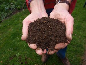 Fresh soil in 2 hands from above