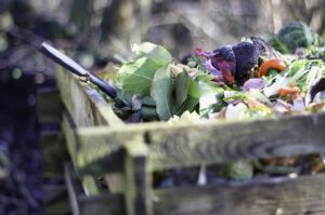 How to Make a Garden Compost featured image