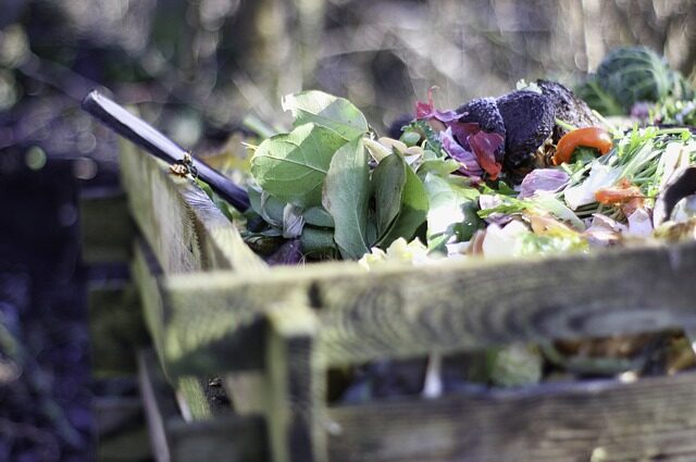 How to Make a Garden: Compost Tips for Gardening Success compost featured image