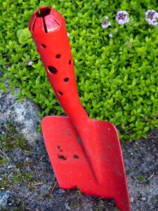 top 10 gardening ideas for starting a new garden trowel