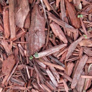 garden mulch