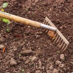 top 10 gardening ideas garden rake