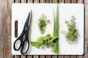 Cutting board and scissors with garden herbs