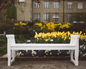 white bench in garden courtyard