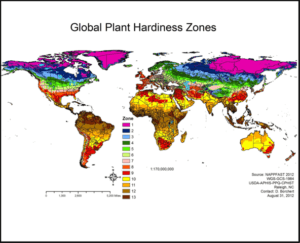 hardiness zone