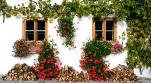 Garden design ideas pattern woodpile