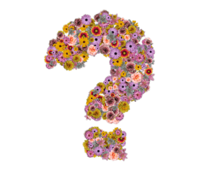Garden Design Ideas - Question mark made of flowers