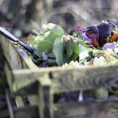 how to garden vegetables compost article link