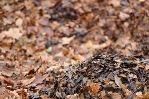 how to garden vegetables pile of leaves