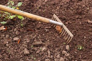 how to garden vegetables soil