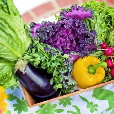 how to garden vegetables display