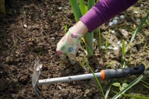 how to garden vegetables weeding