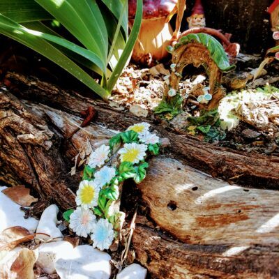 Outdoor fairy garden ideas pathway