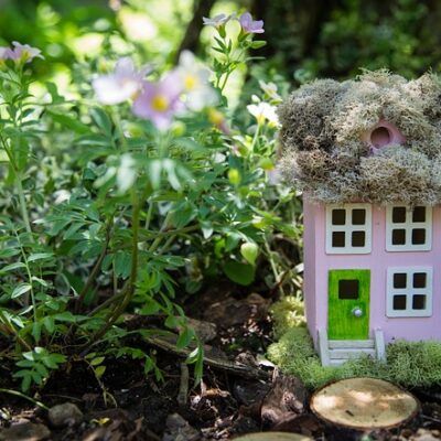 outdoor fairy garden ideas dwelling