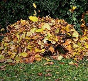 when to start gardening leaf compost