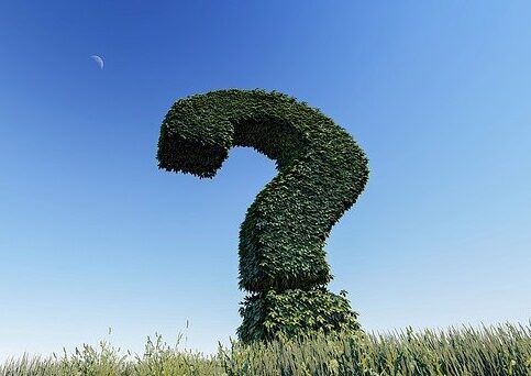 How and When to Start Gardening question mark hedge