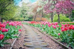 when to start gardening spring