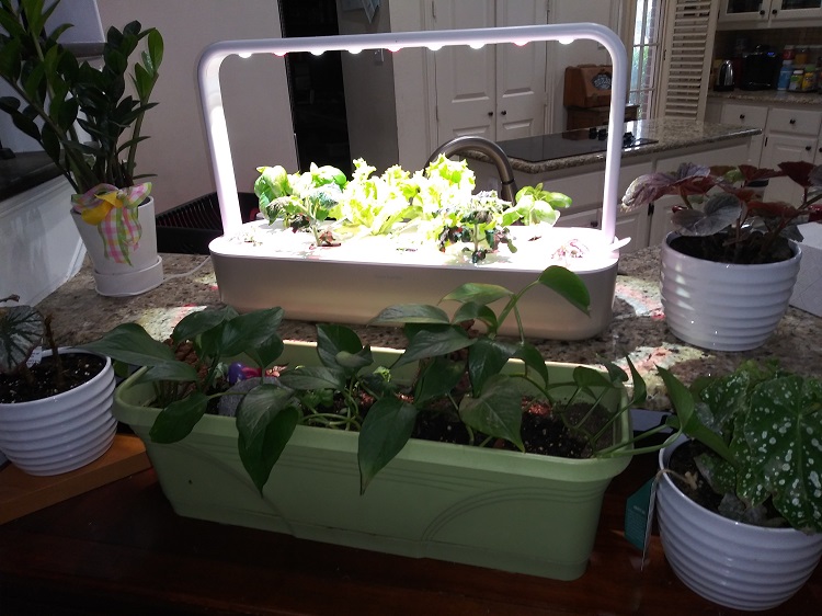 Found a great display area Click and Grow Smart Garden Review
