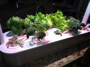 Another close up picture Click and Grow Smart Garden Review
