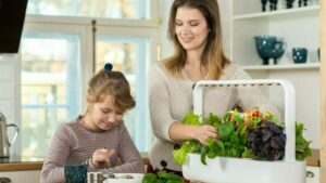 how to plant a garden in your home click and grow family