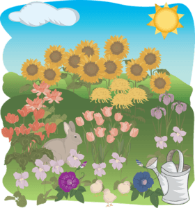 small butterfly garden plans flowers