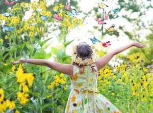 small butterfly garden plans butterfly garden