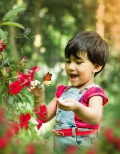 small butterfly garden plans child butterfly