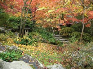 Getting Garden Ready Fall Garden in Fall