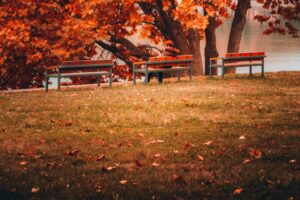 getting garden ready fall lawn