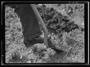 getting garden ready fall turn soil