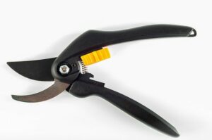 fall pruning perennials anvil pruners All You Need To Know About Fall Pruning Perennials