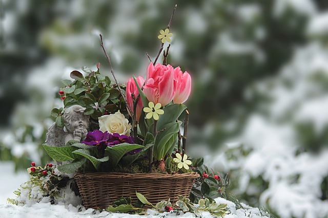  How Do I Prepare My Garden For Winter? ❀ Fairy Circle Garden