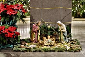 how to take care of a poinsettia church how-to-take-care-of-a-poinsettia-church